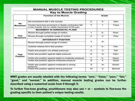 Muscle Strength Testing And Manual Muscle Grades | PDF