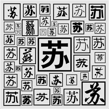 带苏的名字三个字 公司名称拼音简写_起名_若朴堂文化