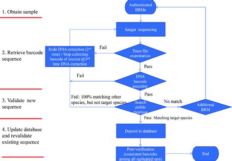 Image result for Simple Process Flowchart of DNA Barcoding