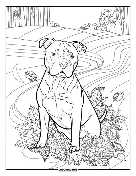 100+ Pitbull Coloring Pages for Kids & Adults (Free Printable PDFs)