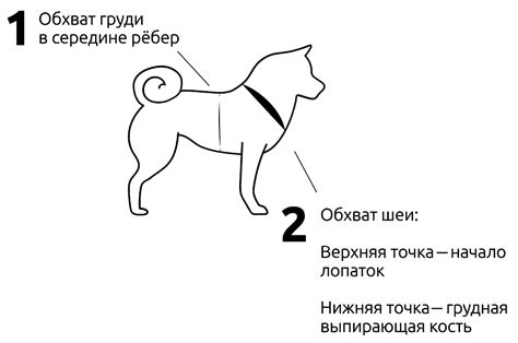 БАЗОВЫЕ ШЛЕЙКИ ИЗ СТРОПЫ