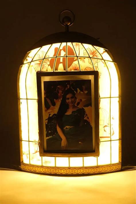 Led Cage Frame – handmadelovebytanya