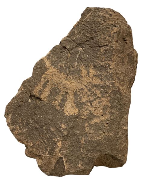 At Auction: Bloody Basin New River Arizona Coyote Petroglyph Indigenous ...