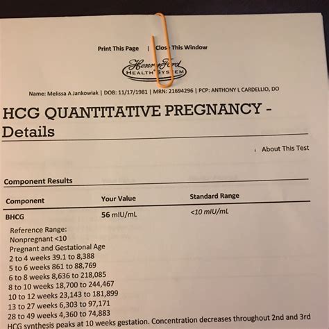 List 104+ Pictures Positive Pregnancy Blood Test Pictures Superb