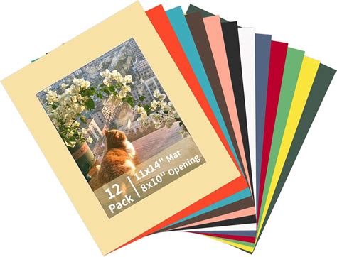 Amazon.com: ZBEIVAN 12 Packs Mixed Colors 11x14 Picture Frame Mats for ...