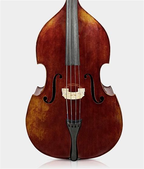 Double Bass Instrument