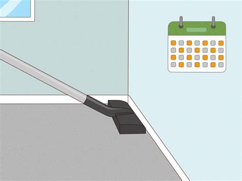 Flea Infestation In Carpet