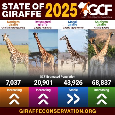 4 giraffe species recognized in historic IUCN decision - Giraffe Conservation Foundation