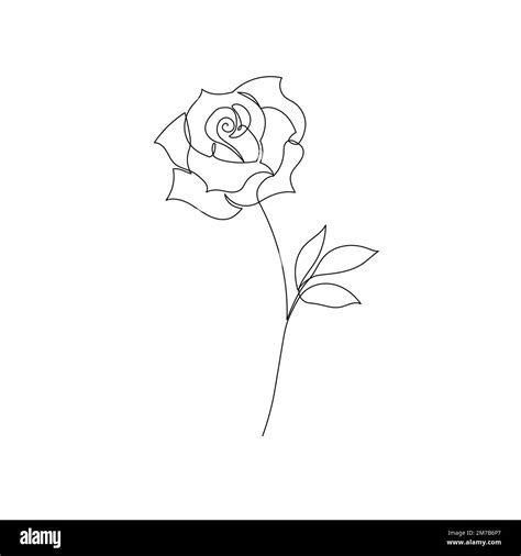 Roses Drawings Outlines