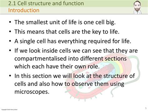 A level Biology - Cells, Viruses and Reproduction of Living Things | PPTX