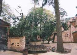 ZooLex Exhibit - Ancient City's Ibisses