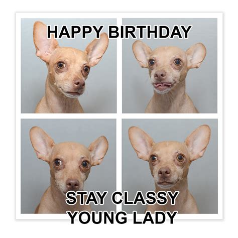 30 Happy Birthday Dog Memes For Barkday Smiles Happy Birthday Dog/dog ...