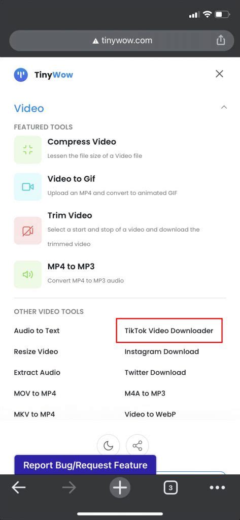 How To Convert a TikTok Video to MP4
