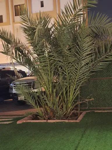 أفضل خدمات Sageer في الكويت لعام 2021