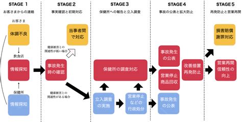 Image result for NSW Paediatric Advanced Life Support Algorithm