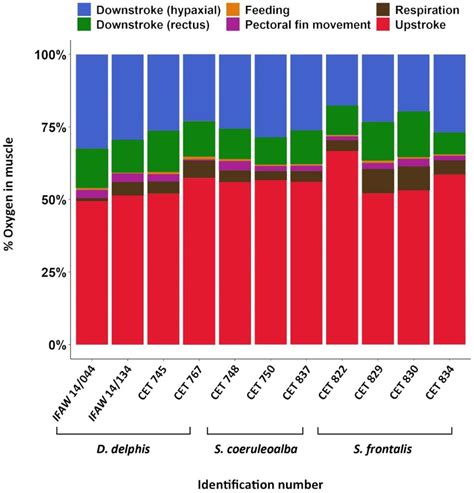 Myoglobin Concentration and Oxygen Stores in Different Functional ...