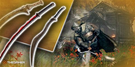 Elden Ring Dexterity Levels at Joseph Becher blog