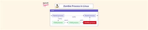 Zombie Process 的图像结果