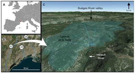The Cent Fonts Aquifer: An Overlooked Subterranean Biodiversity Hotspot ...