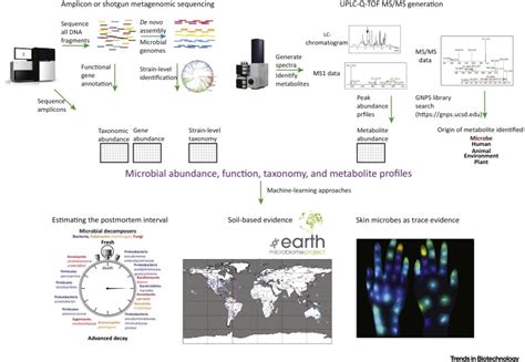 Rezultat imagine pentru Forensic Science Tools