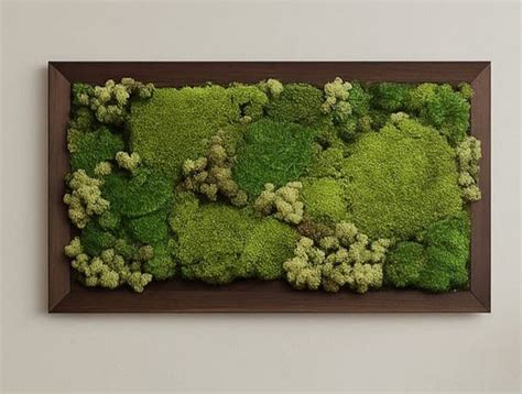 Preserved Moss Wall Panel 12 Inch X 24 Inch – VCK Greens