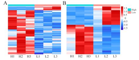 Multi-Omics Data Reveal Amino Acids Related Genes in the Common Carp ...