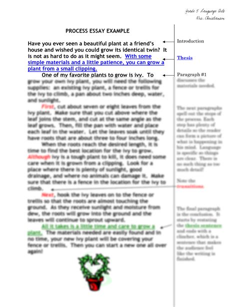 Process Essay Example 的图像结果