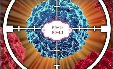 2019年最全解析“抗癌神药PD-1” - 知乎