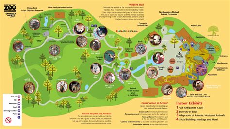 Jersey Zoo Photos at Lucinda Mckellar blog