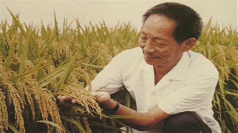 袁隆平新提案：将长沙打造成国际稻都|杂交水稻之父|袁隆平|提案_新浪财经_新浪网