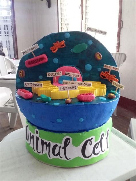 Animal Cell 3D Model | Cells project, Creative, Projects