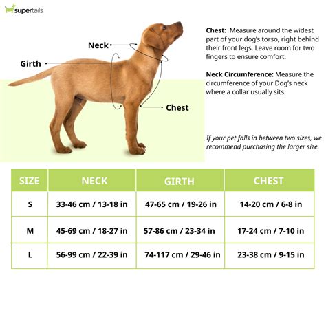 Buy Let's Wag Training and Safety Dual Clip Designed H Harness for Dogs ...