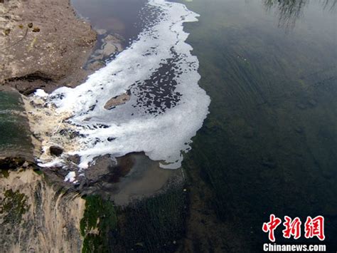河南太康造纸厂污染环境 环保部门坚称排污达标_新闻中心_新浪网