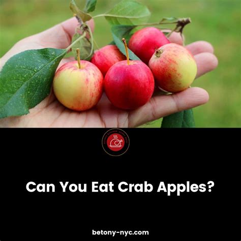 Can You Eat Crab Apples? - Betony