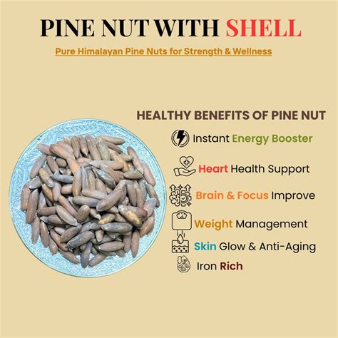 Buy Premium Pine Nuts (Chilgoza) Online in India – Price, Benefits ...
