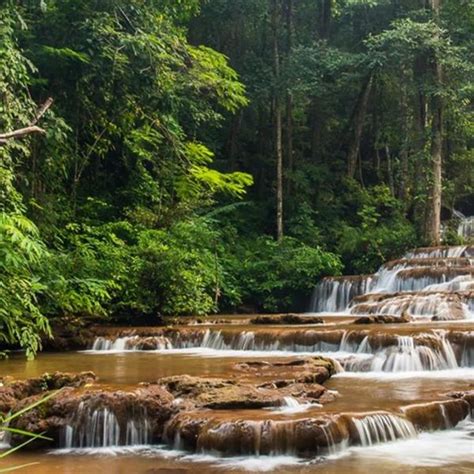 Mesmerizing Waterfalls In Meghalaya To Explore In Northeast India - 2024