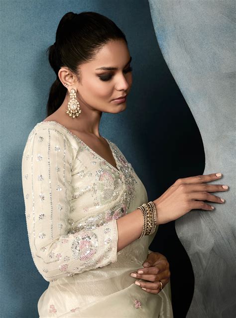 Off-White Tissue Saree with Hand Embroidery & Cut Work Border – Anant ...