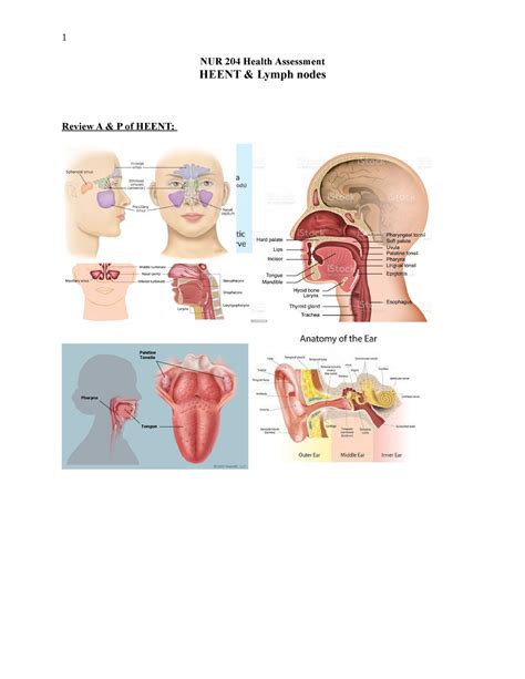 HEENT Lymph Checklist - NUR 204 Health Assessment HEENT & Lymph nodes ...