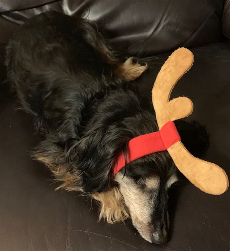 How does your team identify and track time cards as billable or non ...