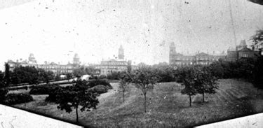 Searching Picture Sheffield