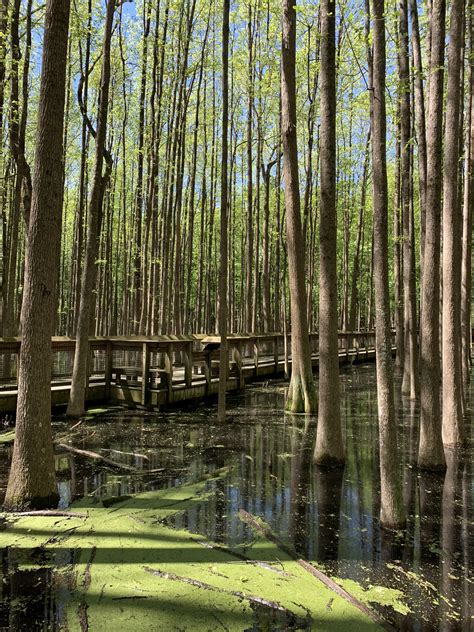 Louisiana Purchase State Park