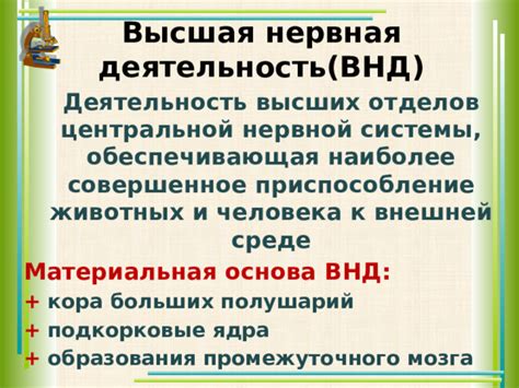Презентация по биологии 9 класс "Особенности ВНД человека"