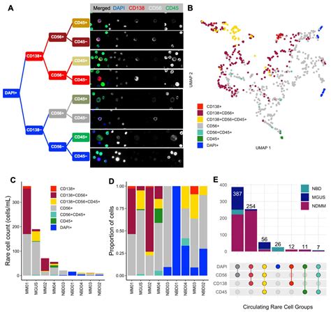Enrichment-Free Single-Cell Detection and Morphogenomic Profiling of ...