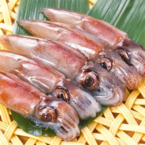 Image result for Alien Predator Goo