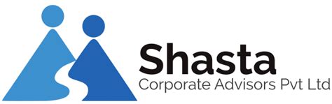 Shasta Corp | Business Management Advisor