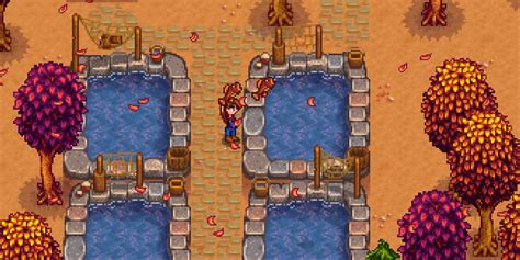Fish Pond Stardew