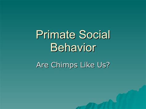 Primate Behavior 的图像结果