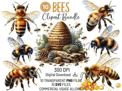 Buy Bees Clipart Bundle PNG and SVG Files for Commercial Use ...