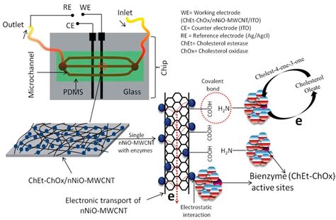 Microfluidics Integrated Biosensors: A Leading Technology towards Lab ...