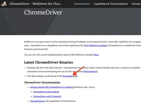 Image result for chrome webdriver python download